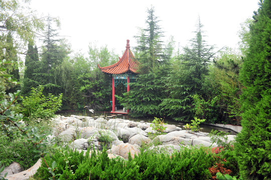 公園風(fēng)景