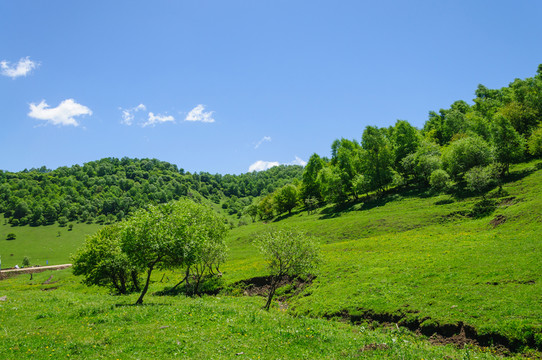 關(guān)山 牧場