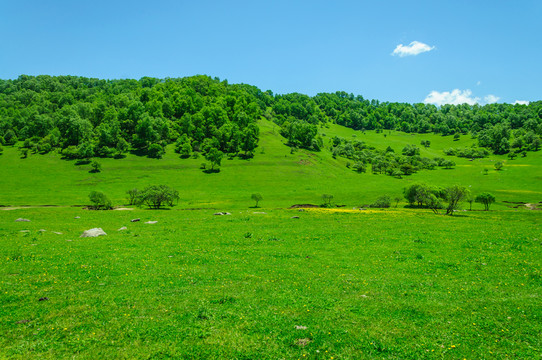 關(guān)山 牧場(chǎng)