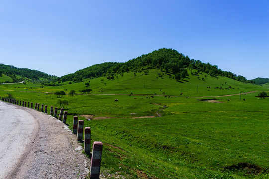 關(guān)山 牧場(chǎng)
