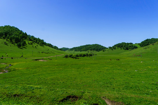 關(guān)山 牧場