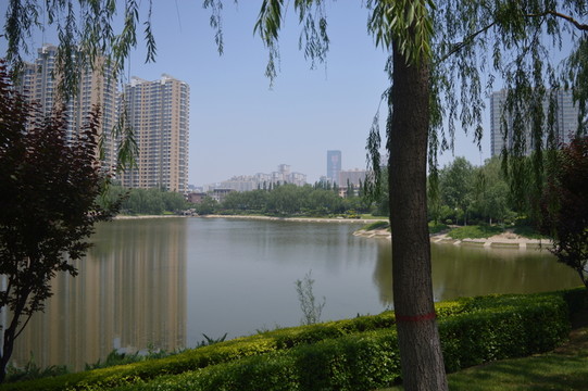 公園湖泊