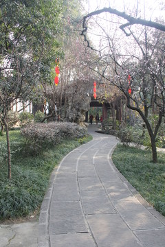 成都