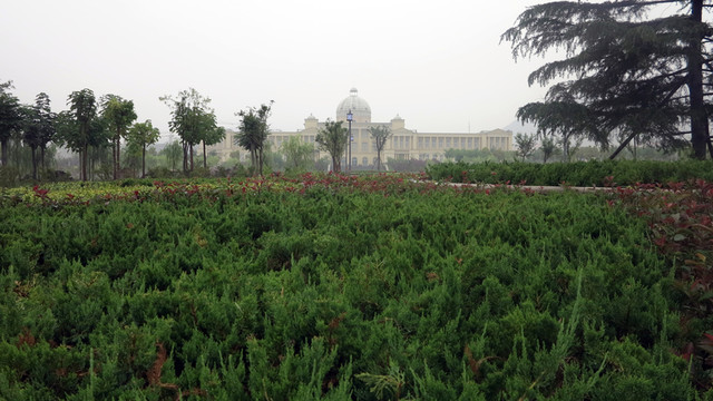 公園風景
