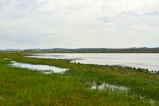 湖岸