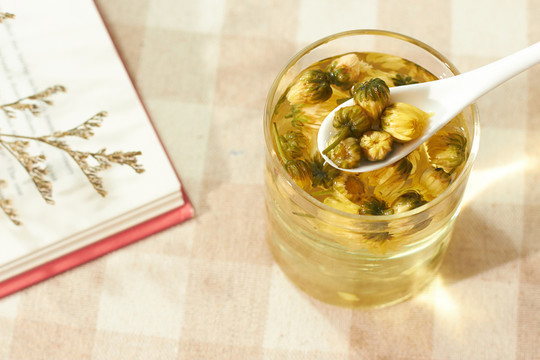 泡過的菊花茶