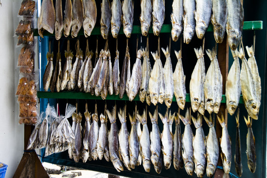 魚干