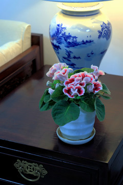 紅色大巖桐花