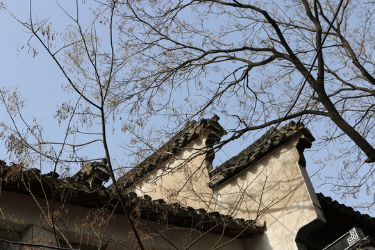 南京夫子廟風(fēng)光