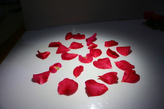 花瓣