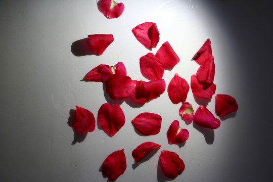 花瓣