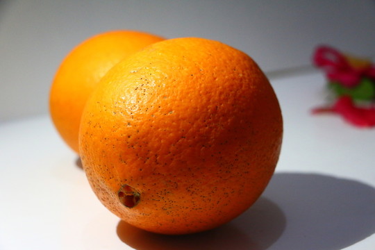 橙子特寫