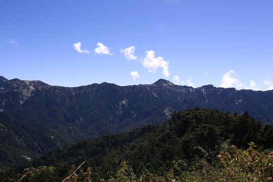 藍(lán)天白云
