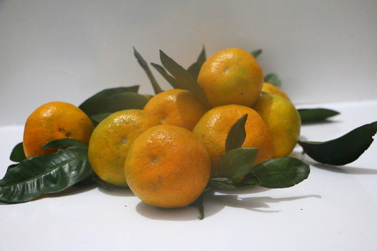 新鮮柑橘
