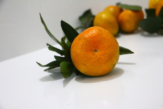 熟桔子