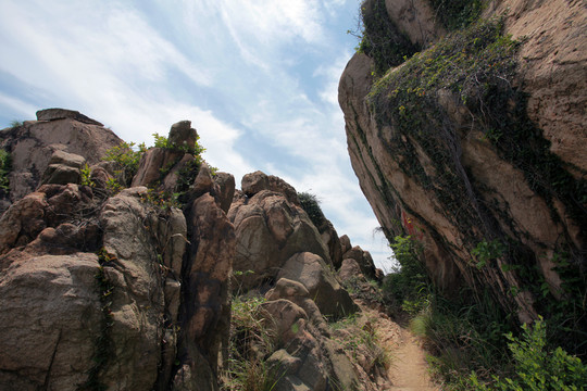 青島浮山風(fēng)光