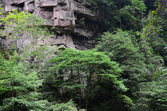 山壁