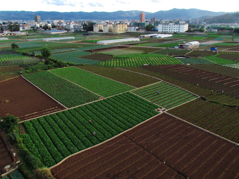 高原農(nóng)業(yè)