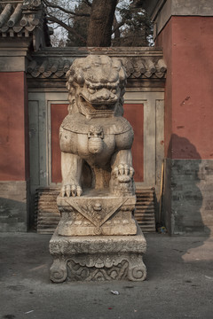 石獅子