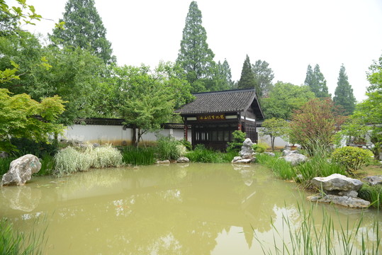 盆栽區(qū) 小湖