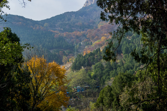 泰山秋色