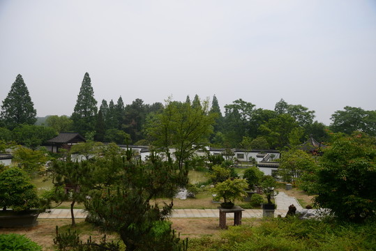盆景景觀