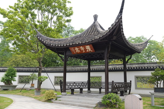 盆景盆栽