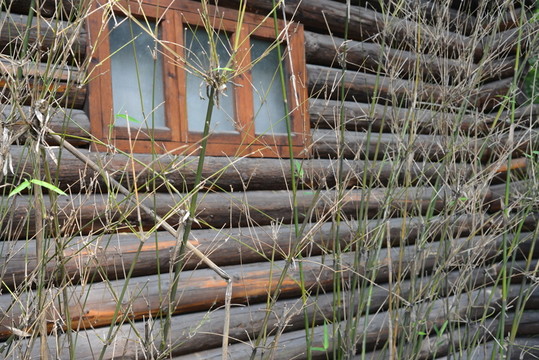 木屋
