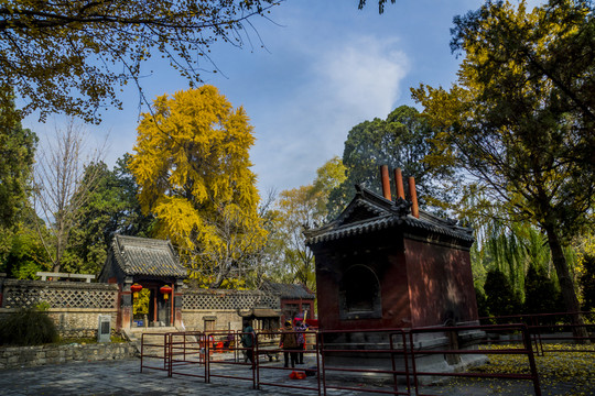 泰山王母池