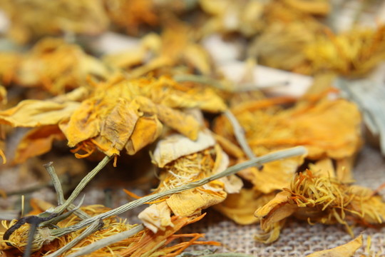 云南中草藥金蓮花