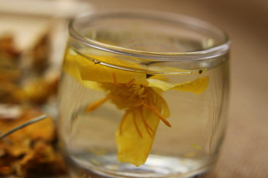 云南中草藥金蓮花