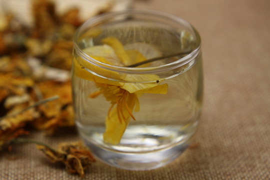 云南中草藥金蓮花