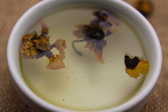云南中草藥昆侖雪菊