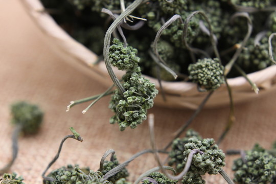 云南中草藥三七花