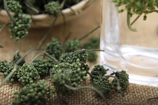 云南中草藥三七花