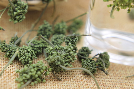云南中草藥三七花