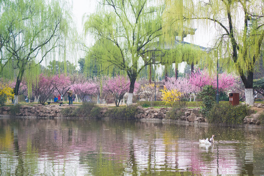 公園一角