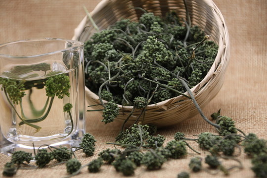 云南中草藥三七花