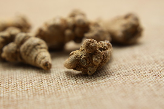 云南中草藥文山三七頭