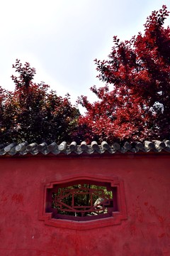 紅墻內(nèi)外