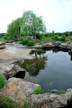 河岸 水岸 石頭造景