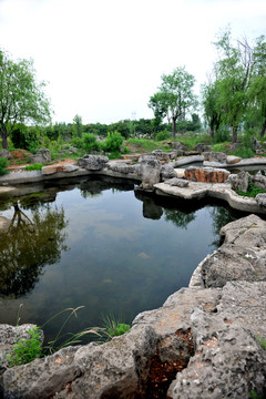 水塘 公園景觀