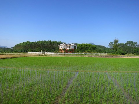 鄉(xiāng)村別墅