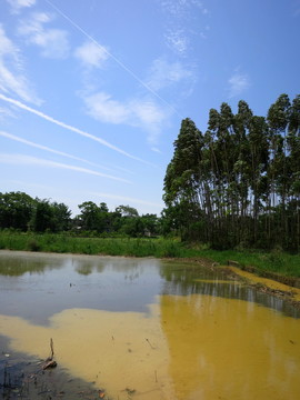 田園