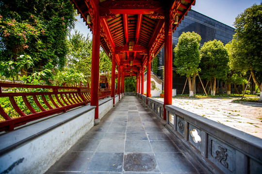 龍?zhí)端l(xiāng)