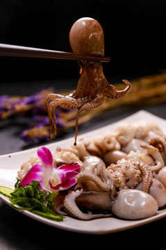 小章魚(yú)