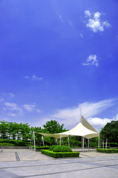 公園的藍(lán)天