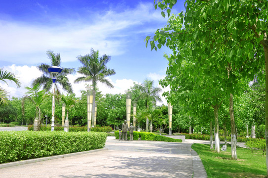 公園園林景色