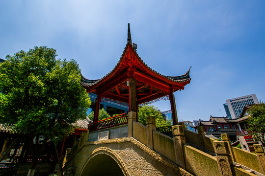 龍?zhí)端l(xiāng)