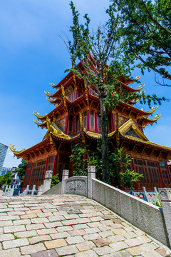 龍?zhí)端l(xiāng)